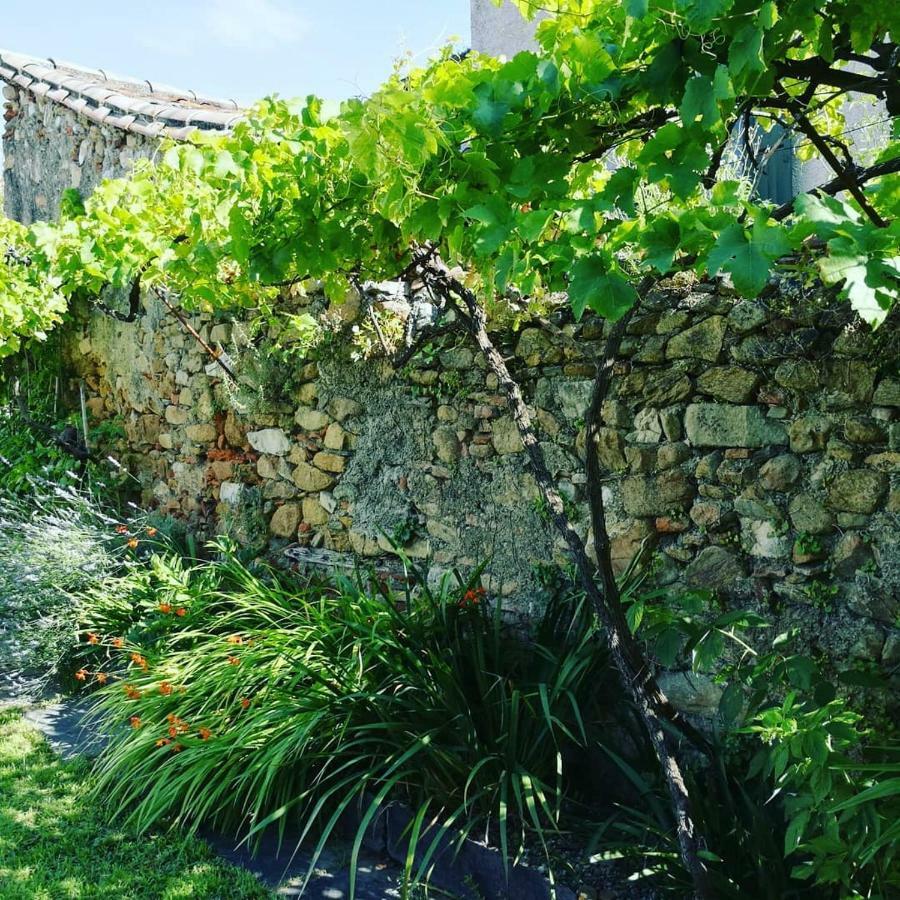 Gite Maison De L'Abbe Sorèze Exteriör bild